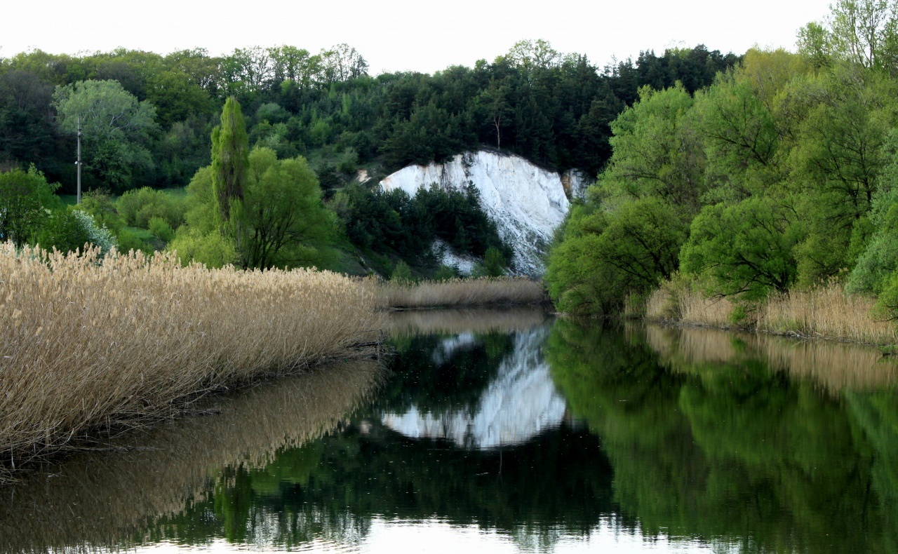 14 марта отмечают международный день рек.