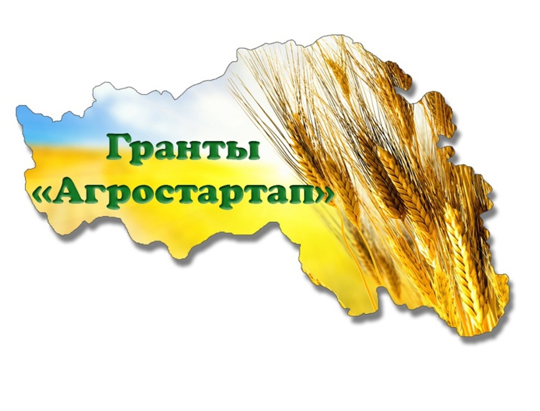 Стартовал конкурс по отбору граждан и индивидуальных предпринимателей для предоставления грантов «Агростартап» Белгородской области ..